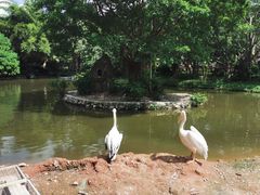 -深圳野生动物园
