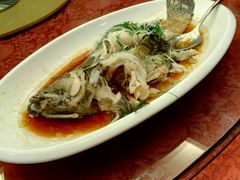 -福鼎轩海鲜大酒楼(皇轩酒店)