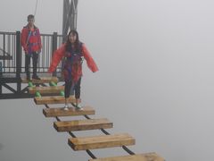 -梦幻奥陶纪景区