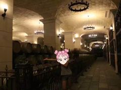 -北京张裕爱斐堡酒庄