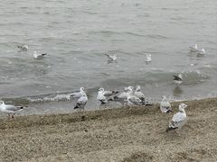 -青海湖二郎剑景区