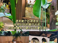 -西双版纳原始森林公园