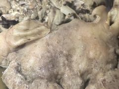 -牛街清顺斋小吃(牛街东里小区一区店)