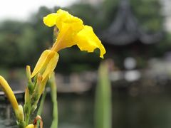 -和平公园