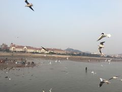 -栈桥景区