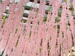-秦岭终南山世界地质公园翠华山景区