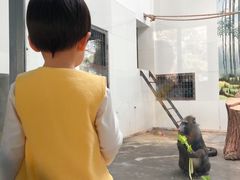 -西安秦岭野生动物园