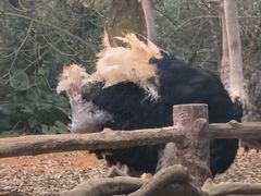 -海南热带野生动植物园