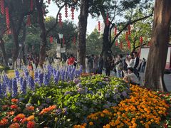 -荔湾湖公园