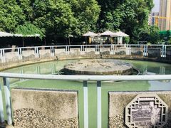-成都市活水公园