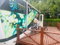 -东平国家森林公园