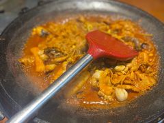 -红辣椒八爪鱼特色韩国料理