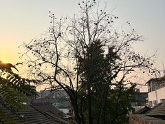 -自如ZSPACE四合院艺术餐厅