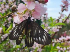 -水濂山森林公园