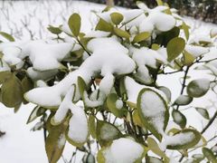 -北京中医药大学东方医院(方庄院区)
