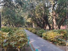 -北京市劳动人民文化宫(太庙)