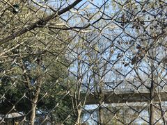 -合肥野生动物园