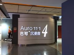-金逸影城(荟聚IMAX激光店)