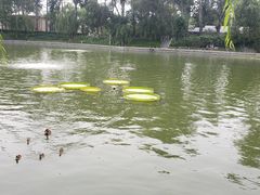 -中国农业博物馆