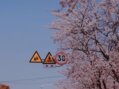 -永乐路-路侧停车场