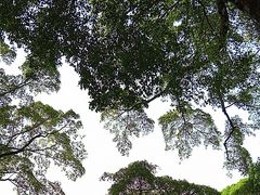 -桂林独秀峰王城景区