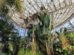 -石家庄市植物园