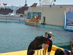 -秦皇岛乐岛海洋王国