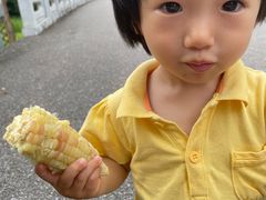 -嘉北郊野公园