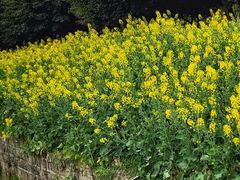 -西南民族大学南区(双流校区)