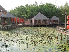 IMG_0679-茂德公草堂