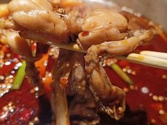 -宽口美蛙鱼头(大唐西市店)