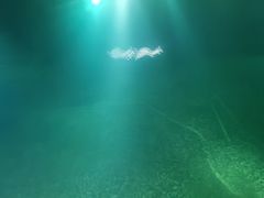 -白鹤梁水下博物馆