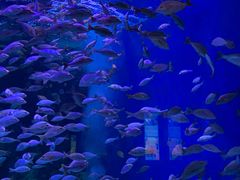 -成都浩海立方海洋公园