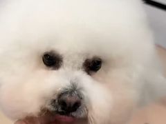 -嘉馨宠物医院·CT影像转诊·心脏科·犬猫全科诊疗中心(下沙大学城院区)
