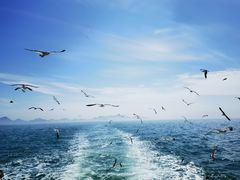 -海驴岛(荣成市)