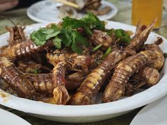 -小叶大馅饺子城