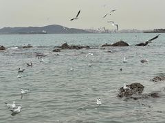 -崂山仰口游览区
