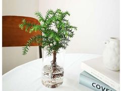 -湘菜时代风味餐厅