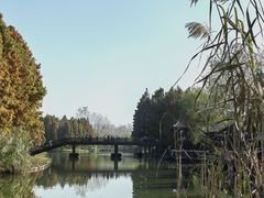 -溱湖国家湿地公园