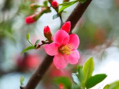 -商丘市人民公园