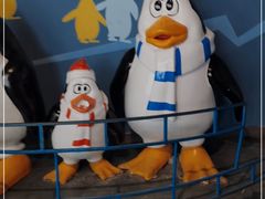 -北戴河圣蓝海洋公园