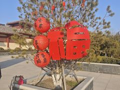 -洛阳古墓博物馆