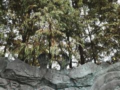 -侵华日军南京大屠杀遇难同胞纪念馆