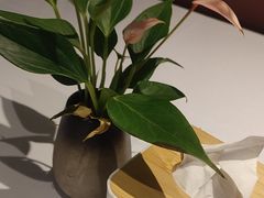 -眉州东坡(民族园店)