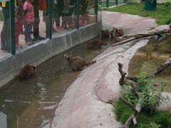 -泉州海丝野生动物世界