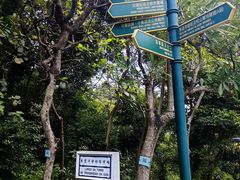 -东望洋炮台东望洋灯塔
