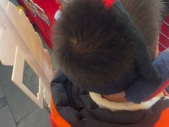 -管氏翅吧(广渠门店)