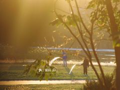 -永定河休闲森林公园