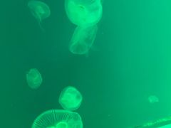 -福州罗源湾海洋世界旅游区