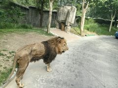 -北京野生动物园